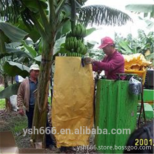 Banana protective bag with cheap price